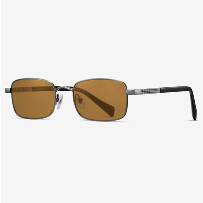 Polarized Titanium Sunglasses N5-S19202