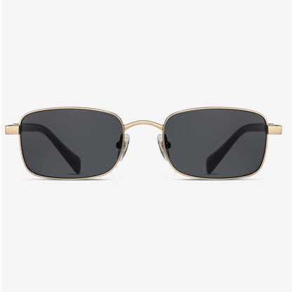 Polarized Titanium Sunglasses N5-S19202